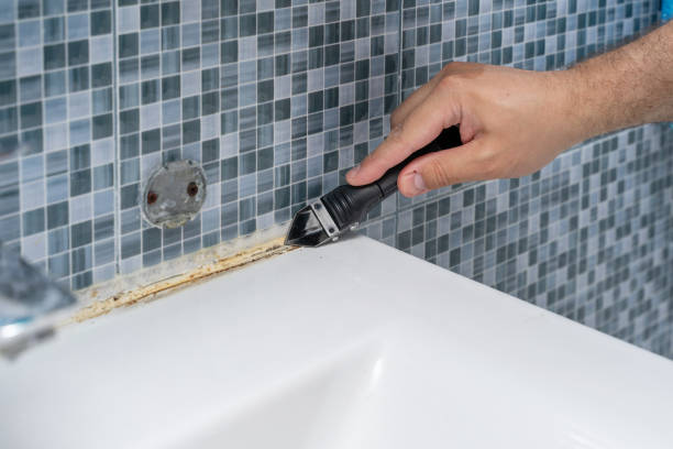 Best Residential Mold Removal  in Orting, WA